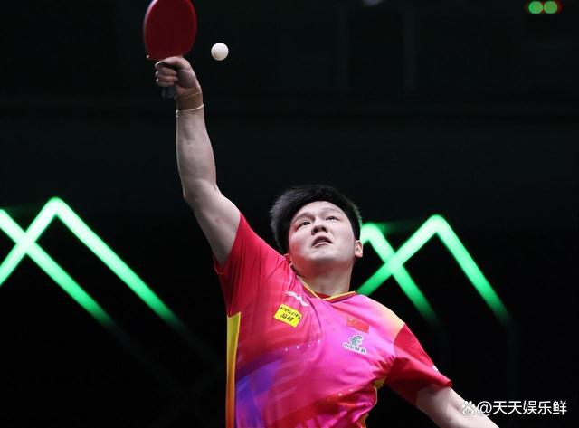 共同展示了 共同展示了