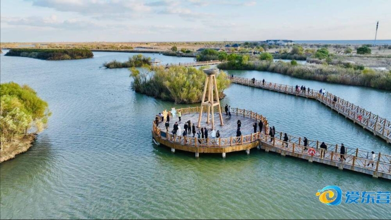 类型的挑战 类型的挑战